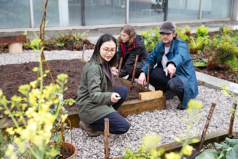 NOMA brings city gardening to Manchester
