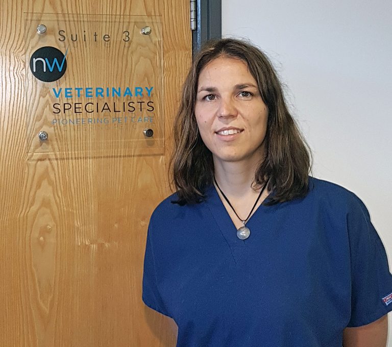 NEW NEUROLOGY AND SURGERY SPECIALISTS AT CHESHIRE VETS